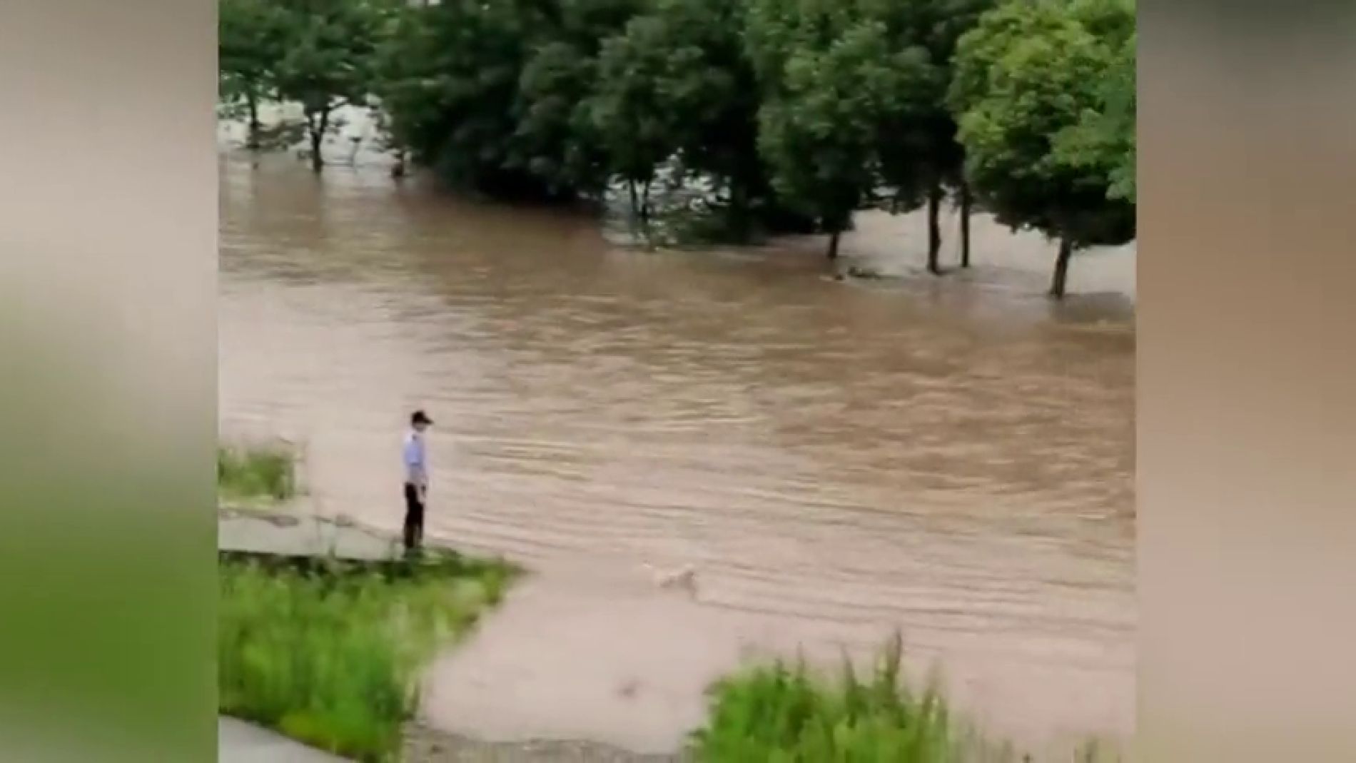 V&Iacute;DEO: Una perra se tir&aacute; al agua en medio de una riada en China para salvar a su cachorro