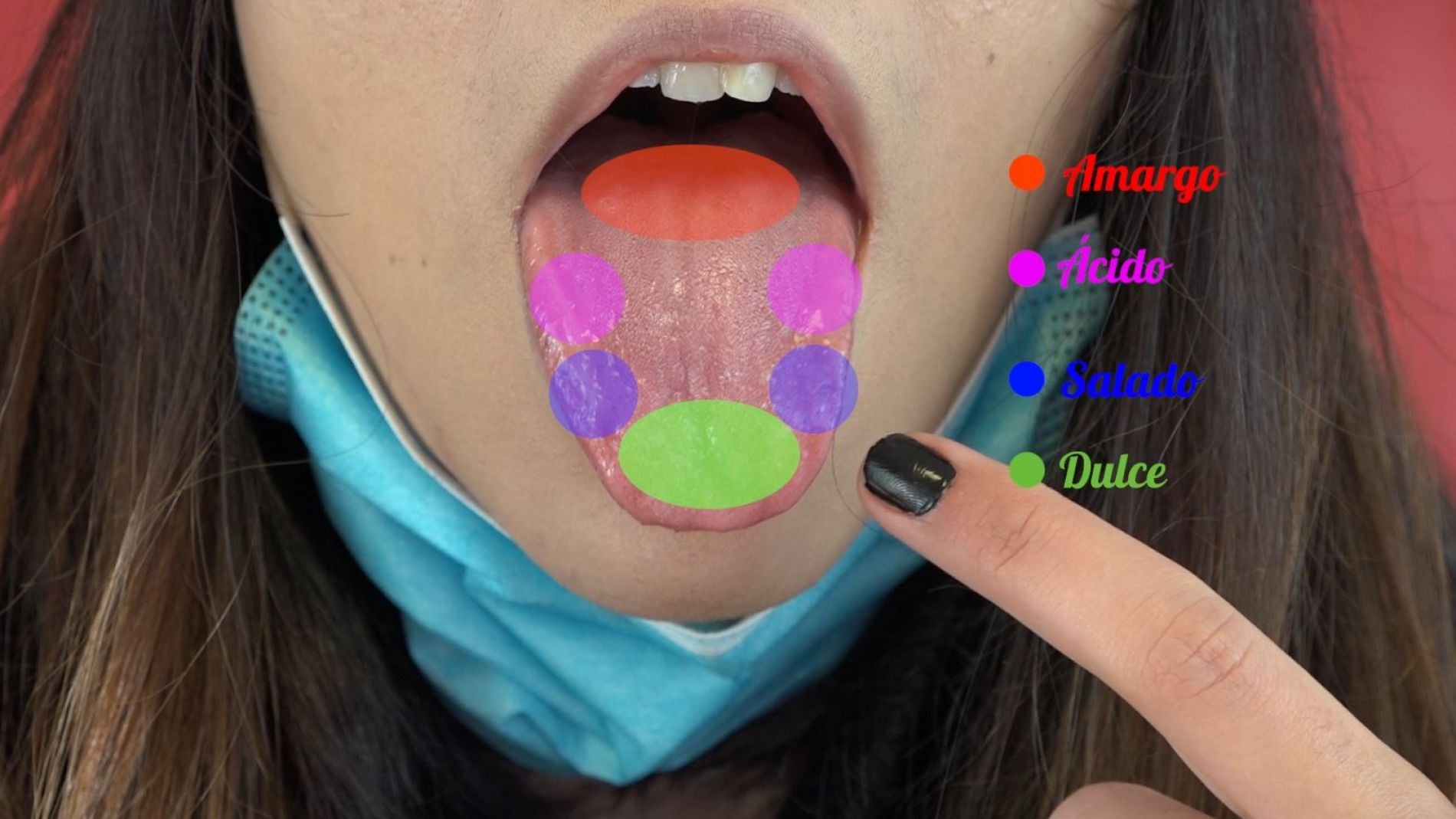 Mito del mapa de sabores