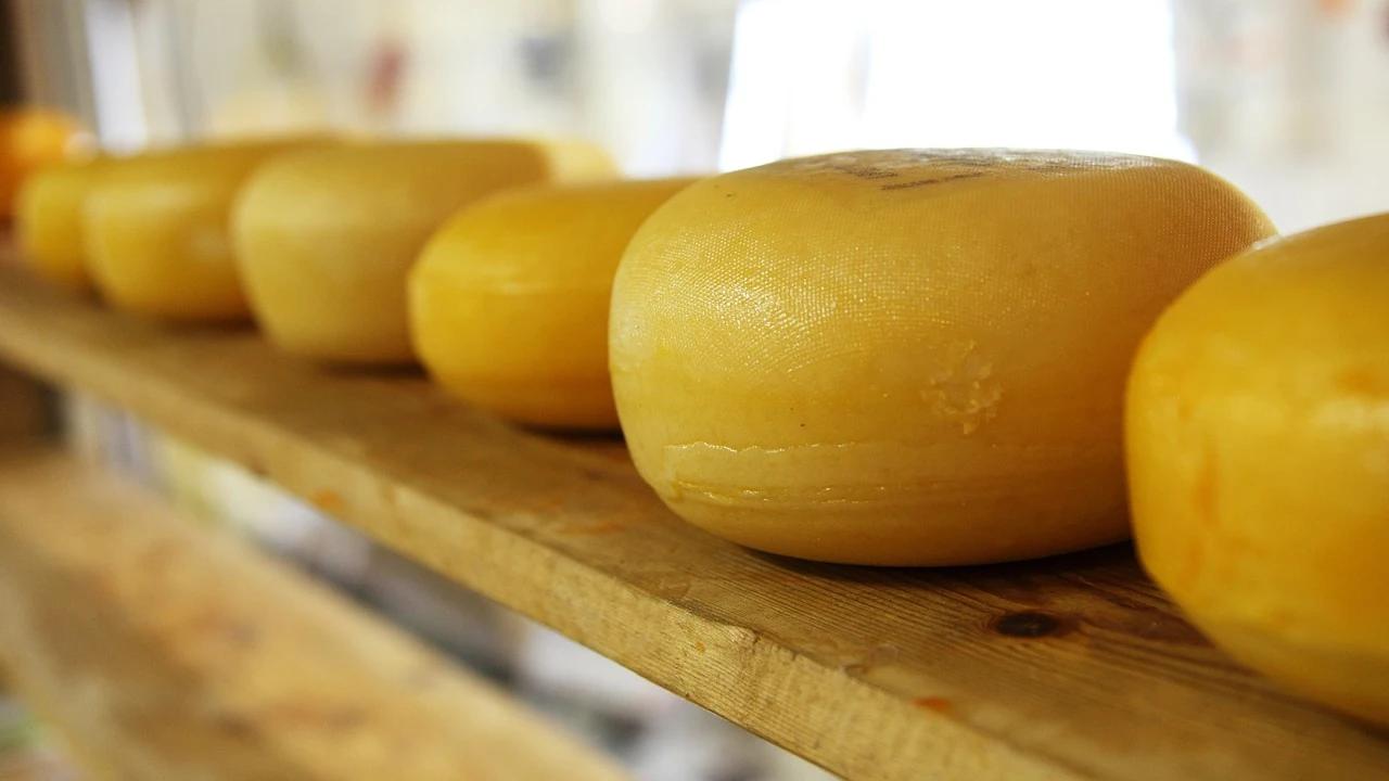 Queso amarillo Queso amarillo