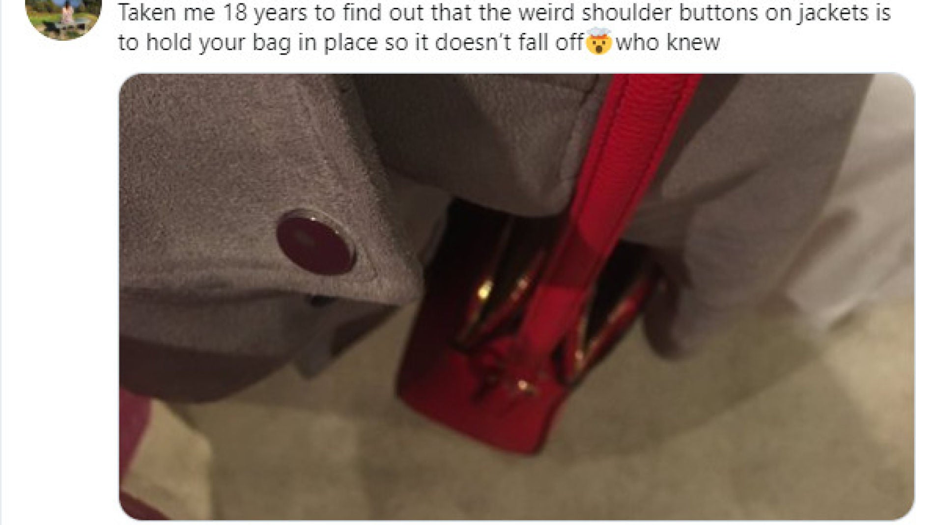 Tuit de @francheskahor6