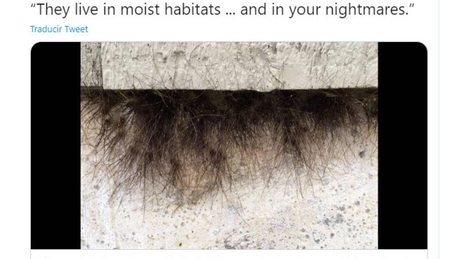 Tuit de @newstribune