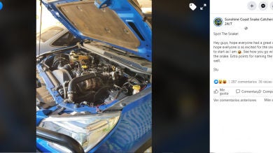 ¿Eres capaz de encontrar a la serpiente escondida en el motor de este coche?