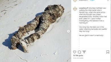 ¿Qué es esto tan siniestro que han encontrado en una playa de Florida?