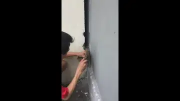 VÍDEO: Rompe una pared para rescatar a un gato que se había quedado atrapado dentro