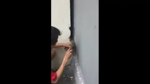 VÍDEO: Rompe una pared para rescatar a un gato que se había quedado atrapado dentro VÍDEO: Rompe una pared para rescatar a un gato que se había quedado atrapado dentro