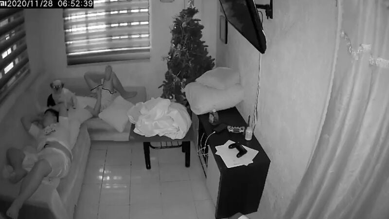 La grabación de una cámara de seguridad demuestra que un perro si se comió realmente los deberes de un niño