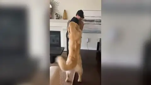 Sterling, el cachorro más celoso y adorable del mundo Sterling, el cachorro más celoso y adorable del mundo