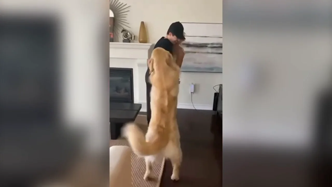 Sterling, el cachorro más celoso y adorable del mundo