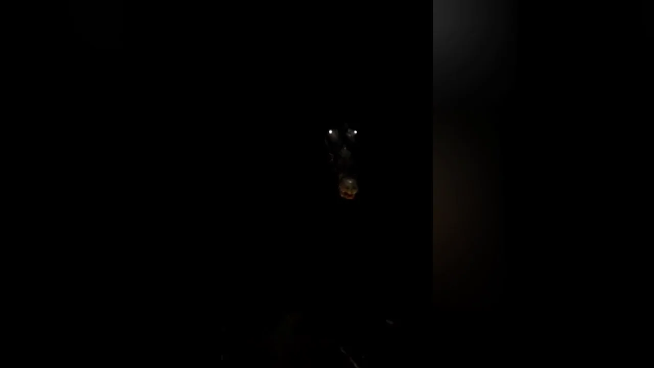 Un aterrador video muestra la mandíbula y ojos de un cocodrilo brillando cuando se acerca a un hombre en la oscuridad