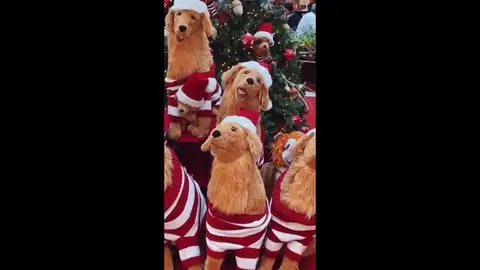 Reto navideño: ¿Eres capaz de encontrar el perro real? Reto navideño: ¿Eres capaz de encontrar el perro real?