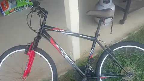 VÍDEO: En esta foto hay una gigantesca araña escondida VÍDEO: En esta foto hay una gigantesca araña escondida