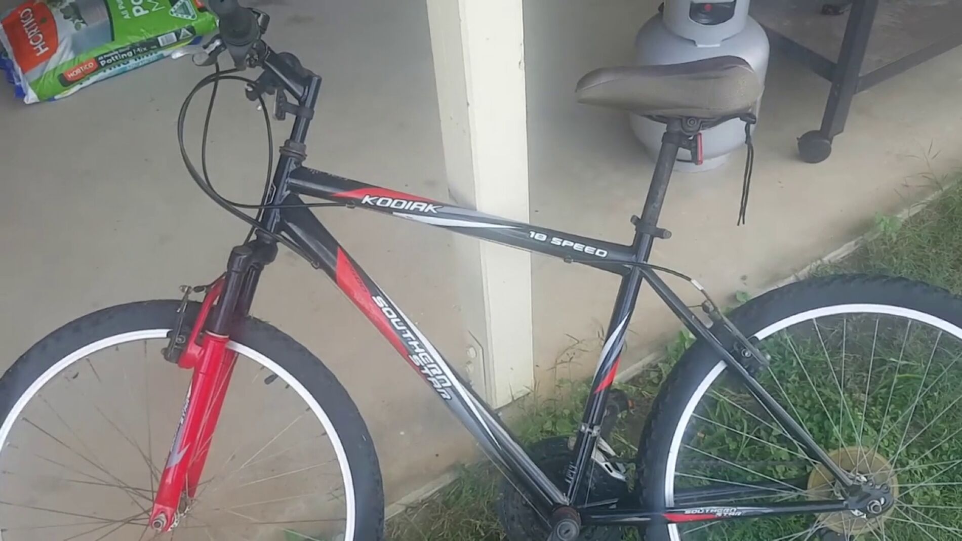 V&Iacute;DEO: En esta foto hay una gigantesca ara&ntilde;a escondida