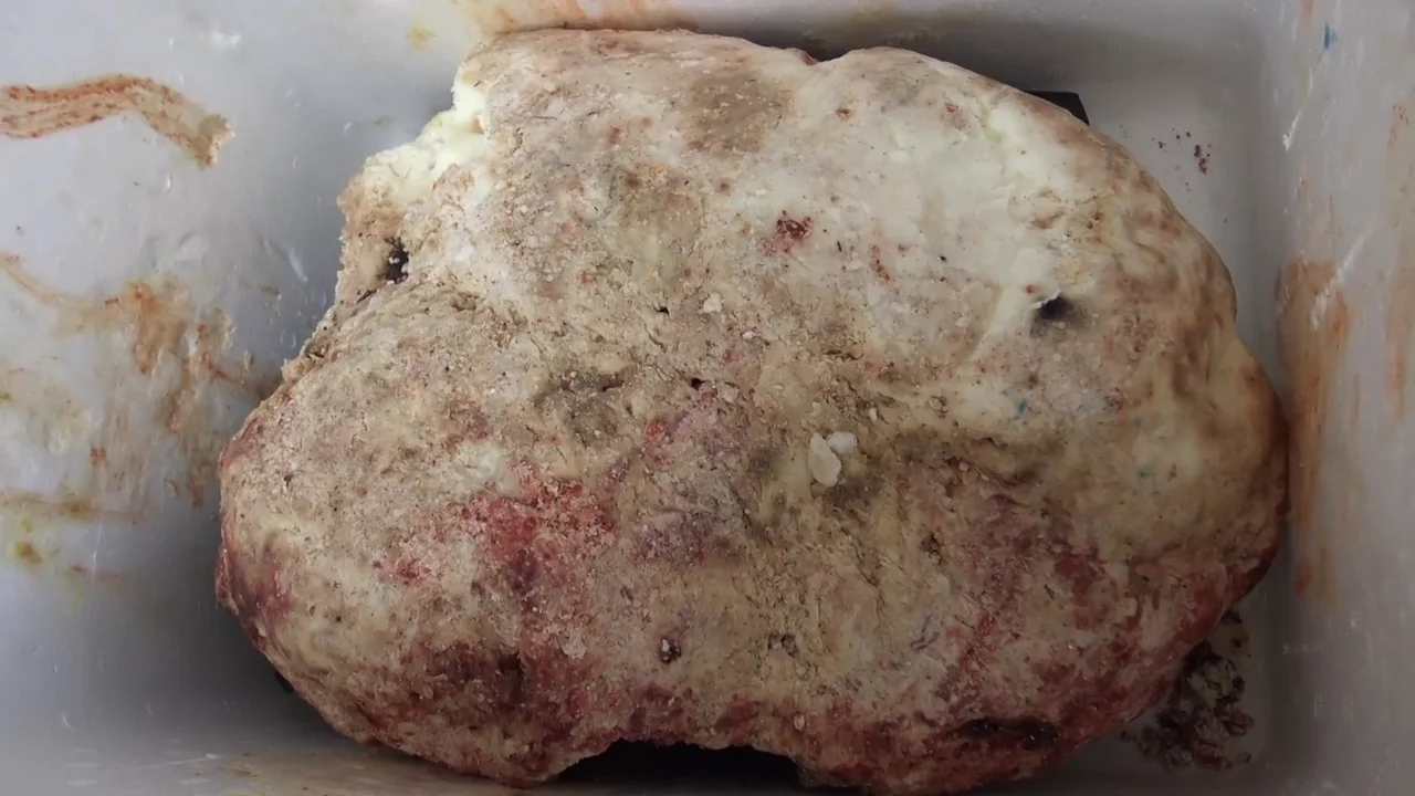 VÍDEO: Un pescador encuentra esta extraña roca y se vuelve rico VÍDEO: Un pescador encuentra esta extraña roca y se vuelve rico