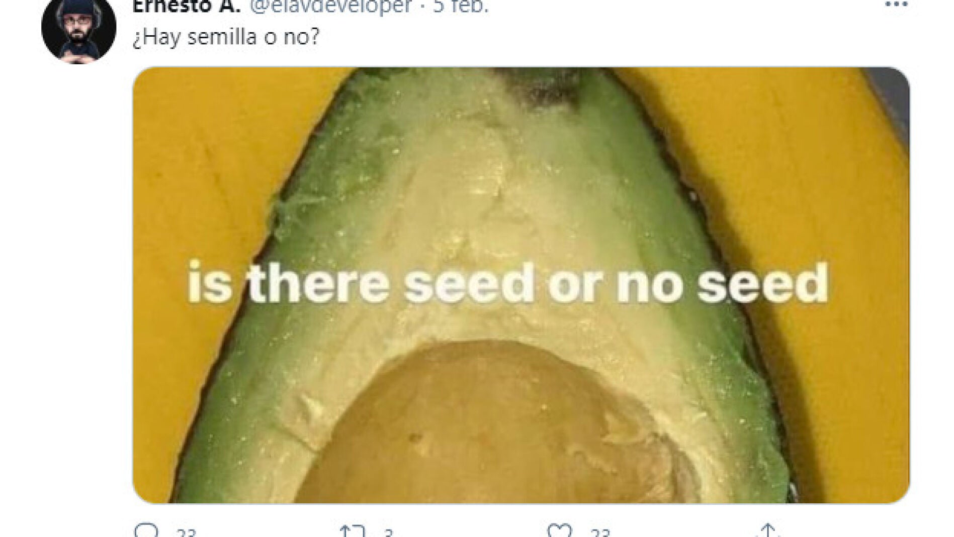 Tuit de @elavdeveloper