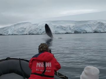 VÍDEO: Una ballena gigante salta fuera del agua junto a una lancha