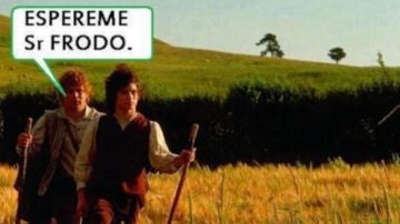 El meme que nunca falta