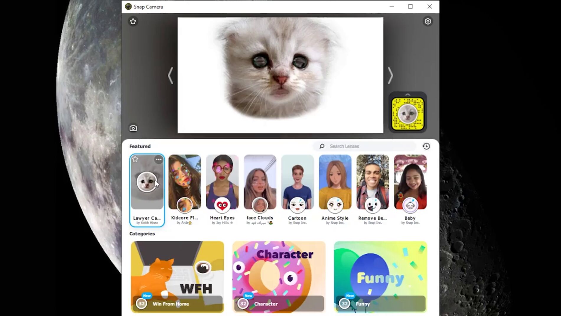 C&oacute;mo conseguir el filtro de gato que se ha hecho viral en Zoom