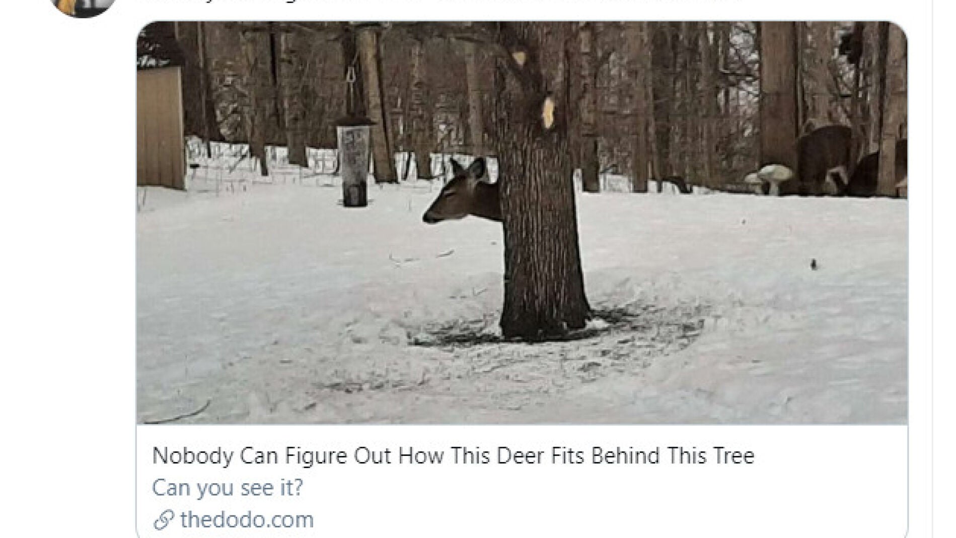 Tuit de @kijanafulani