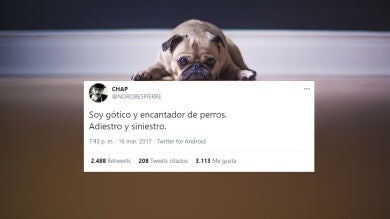 44 chistes malos y absurdos tuiteados con ingenio