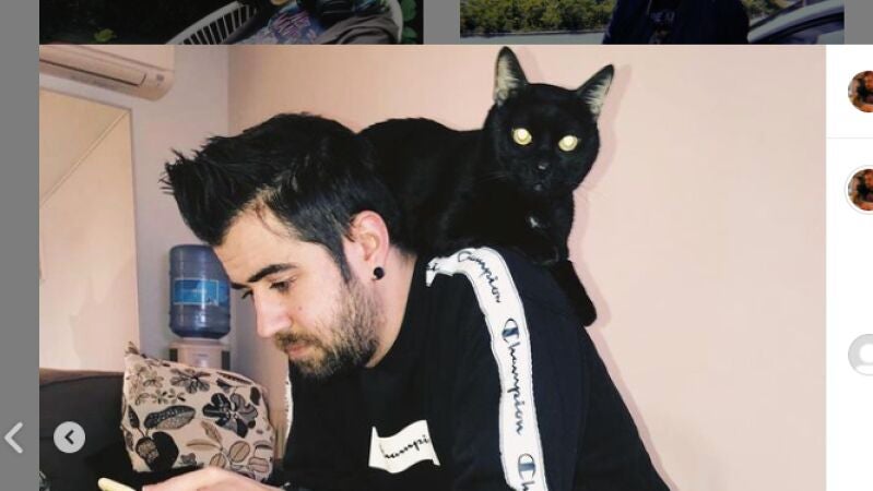 Muere Don Gato, la mascota de Auronplay