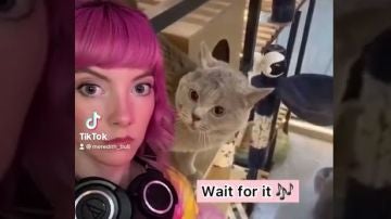 Meredith Bull, junto al gato que la ha hecho famosasa