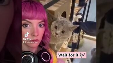 Viral en TikTok: el gato 'trapero' que se ha vuelto tendencia