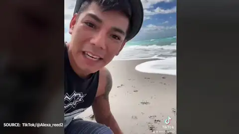 Un tiktoker lame un animal mortal Un tiktoker lame un animal mortal
