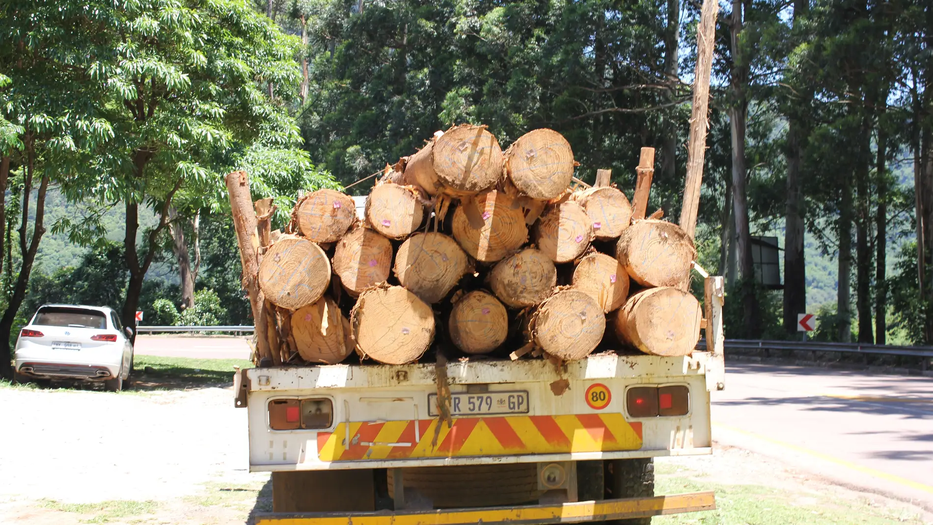 Camión traspntando troncos