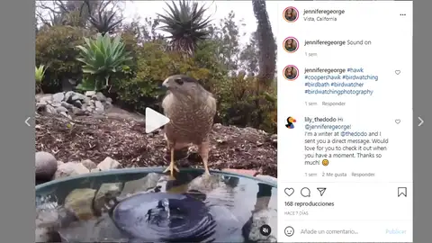 Instagram de Jennifer George Instagram de Jennifer George