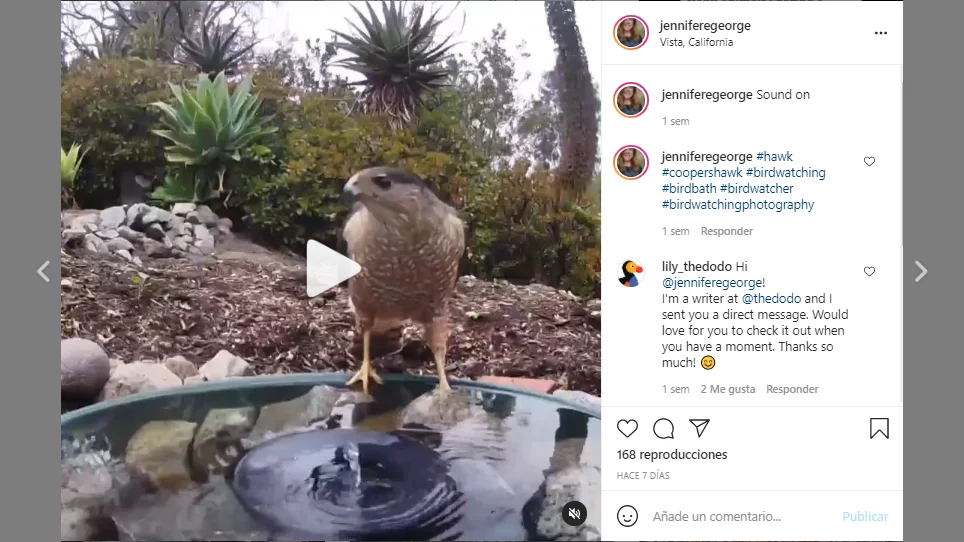 Instagram de Jennifer George