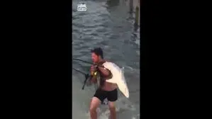 Rescata a un tiburón Rescata a un tiburón