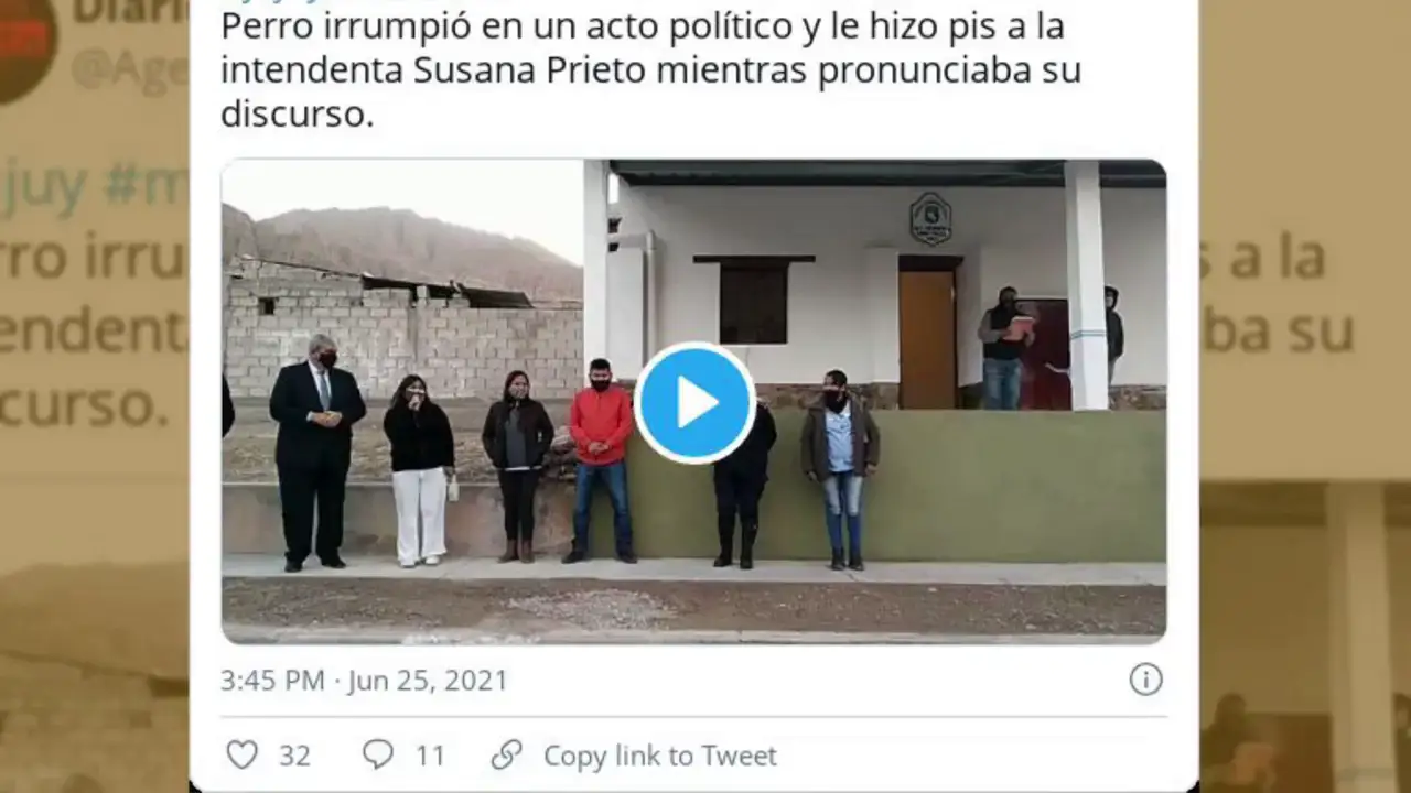Un perro interrumpe un acto político en Argentina para orinar en los pies de una de las presentes
