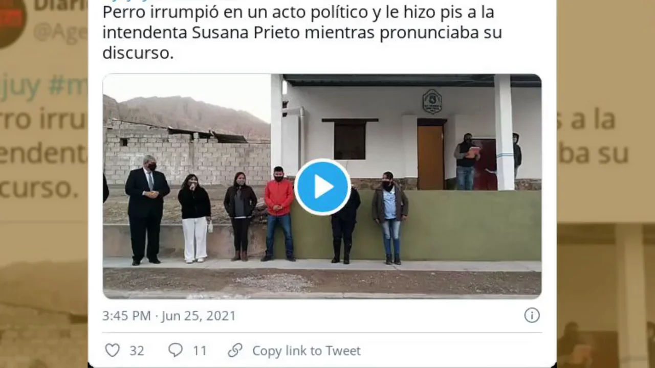 Un perro interrumpe un acto pol&iacute;tico en Argentina para orinar en los pies de una de las presentes