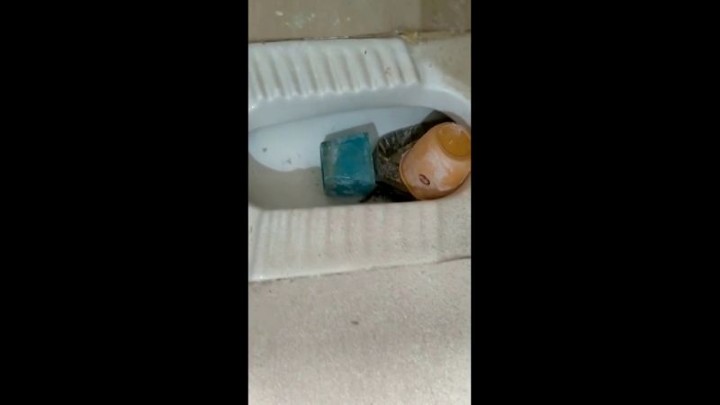 Entra al baño de su casa y se encuentra un gran lagarto dentro