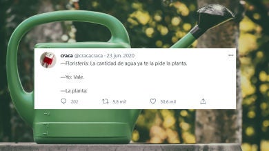 Disléxico no, lo guisante: 40 chistes y tuits de humor absurdos pero acertados
