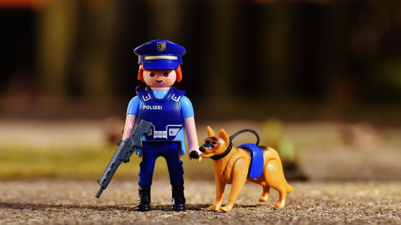 Academia de policía subasta 54 perros por ser demasiado tímidos