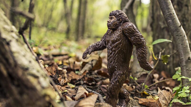 Avistan un supuesto 'Bigfoot' en un rio de Michigan y las teorías conspiranoicas no se hacen esperar