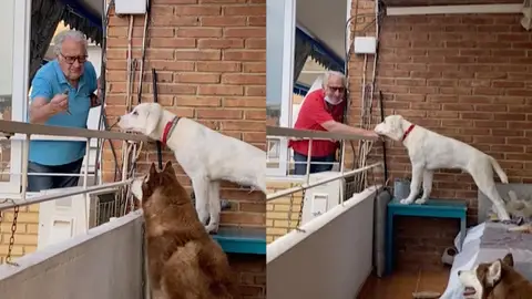 Un vecino alimenta a sus perros Un vecino alimenta a sus perros