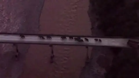 La manada de elefantes que lleva un año vagando por China causando todo tipo de destrozos regresa finalmente a casa La manada de elefantes que lleva un año vagando por China causando todo tipo de destrozos regresa finalmente a casa