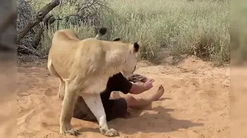 Adoptó a una leona y ahora se deja abrazar por ella sin miedo