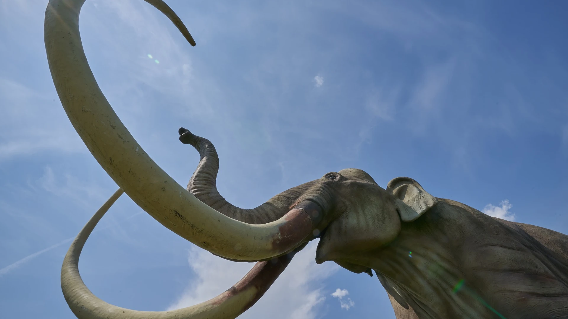Mamut [archivo]