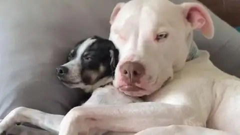 Wink, con su pequeño amigo Wink, con su pequeño amigo