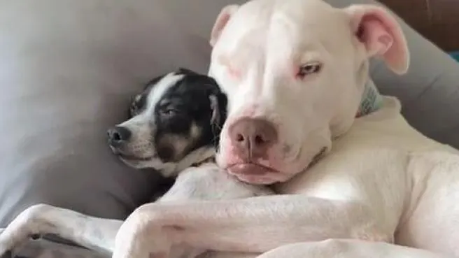 Wink, con su peque&ntilde;o amigo