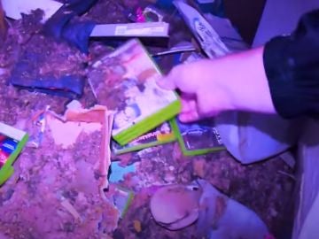 Youtubers exploradores rescatan 80.000 en videojuegos de una casa abandonada