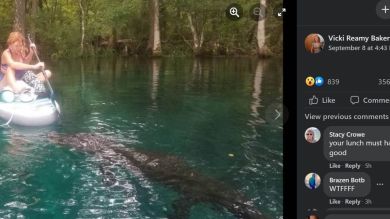 Una mujer se defiende del ataque de un cocodrilo con un remo