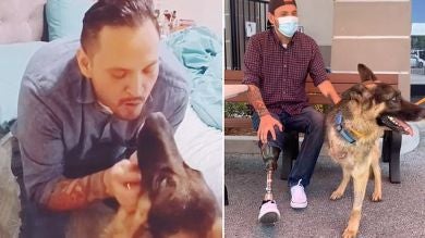 El conmovedor momento en que un pastor alemán de tres patas conoce a su dueño amputado