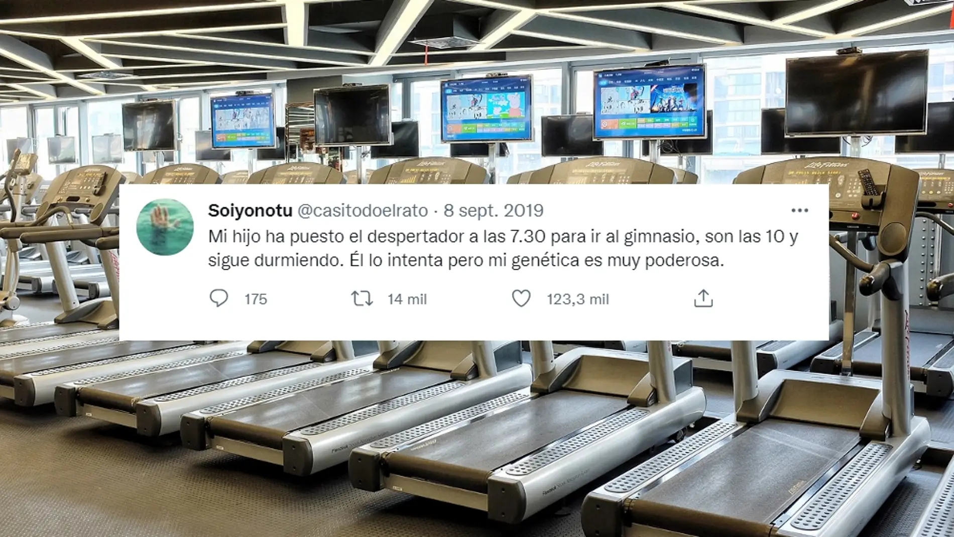 Los 33 mejores reflexiones y tuits de humor sobre gimnasios