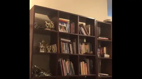 Serpiente escondida en una estanteria Serpiente escondida en una estantería