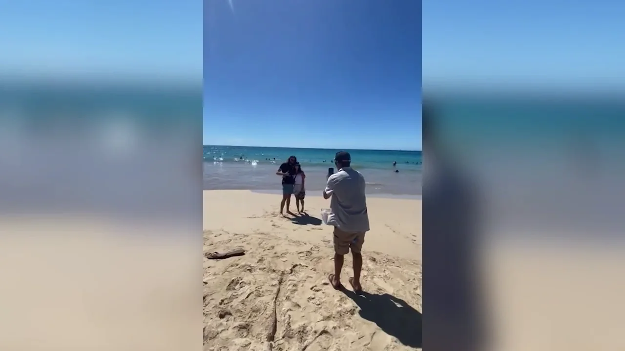 Encuentra el anillo de boda de su marido un año después y decide darle una sorpresa para devolvérsela Encuentra el anillo de boda de su marido un año después y decide darle una sorpresa para devolvérsela