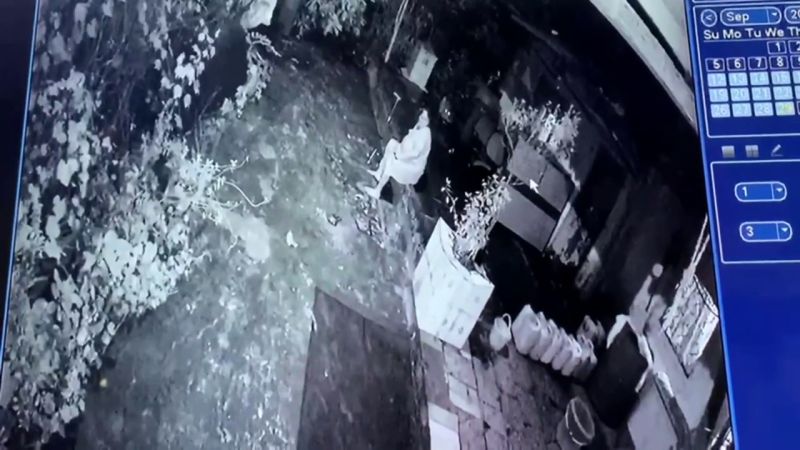 VÍDEO: Una mujer armada con solo su bastón lucha contra un leopardo salvaje